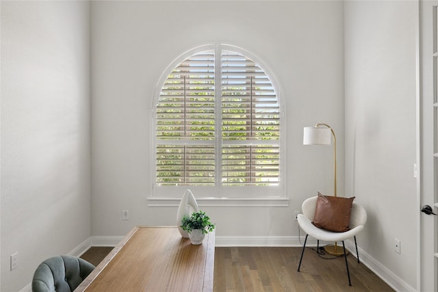 sitting room featuring wood-type flooring and a healthy amount of sunlight