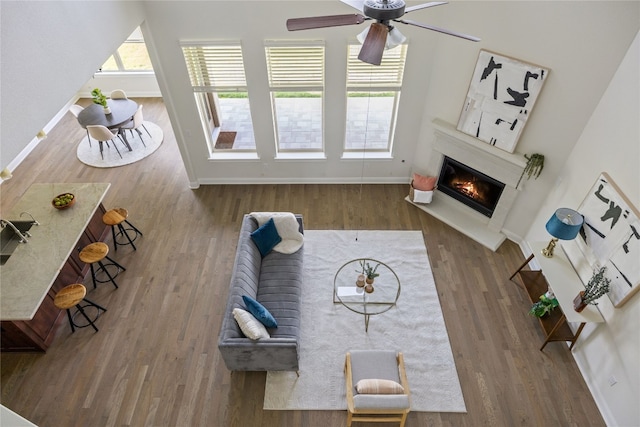 living room with a healthy amount of sunlight, wood-type flooring, and ceiling fan