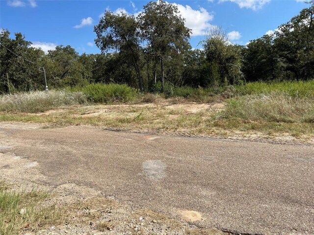 455 Cypress Trail Loop, Rockdale, TX 76567