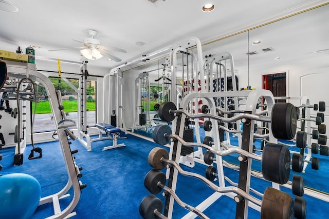 workout area featuring carpet floors and ceiling fan