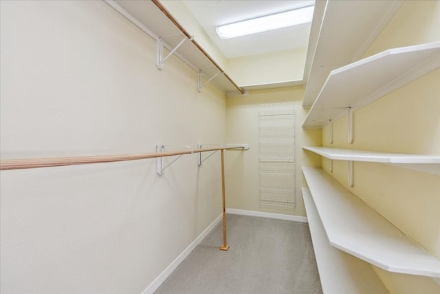 walk in closet with light colored carpet