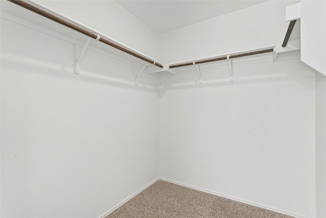 walk in closet with carpet floors