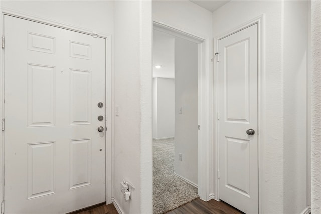 foyer featuring dark hardwood / wood-style floors