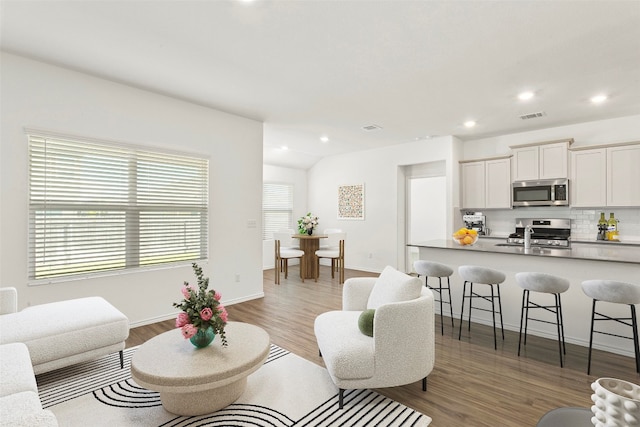 living room with wood-type flooring and sink