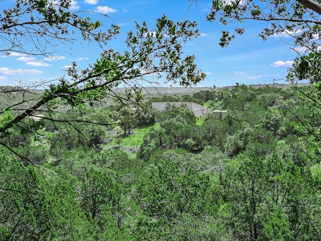 view of landscape