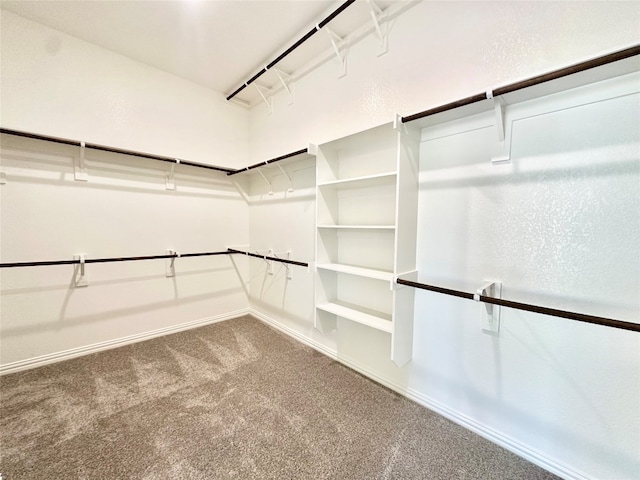 walk in closet featuring carpet floors