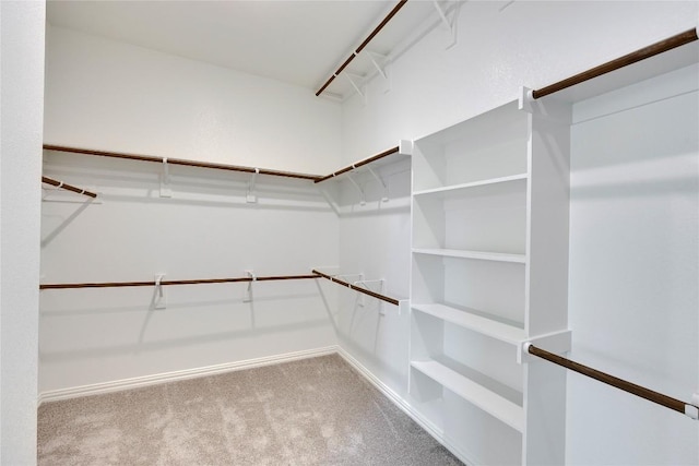 247 Du Bois Ln, Kyle, TX 78640 - walk in closet with carpet floors