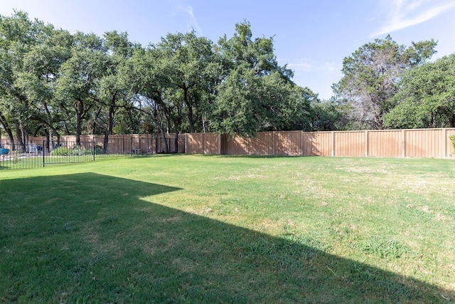 317 Holiday Creek Ln, Georgetown, TX 78633 - photo 4