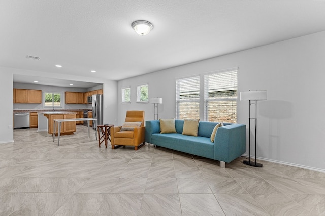 living room featuring sink