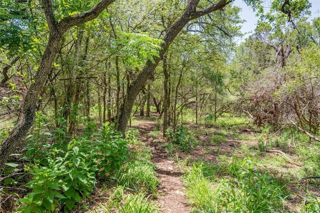 view of nature featuring a forest view