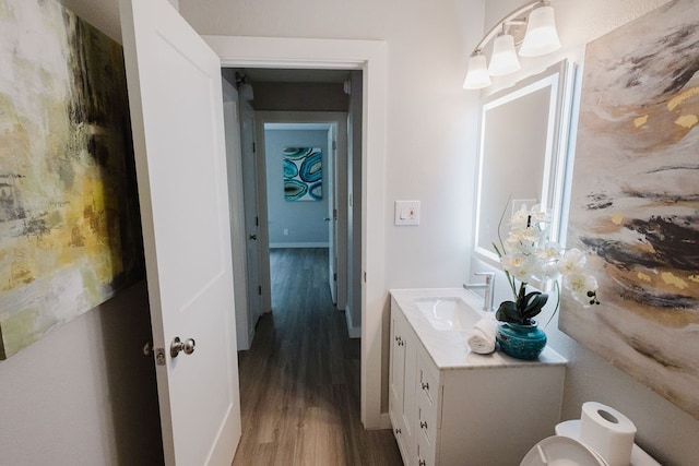 bathroom featuring wood-type flooring and vanity