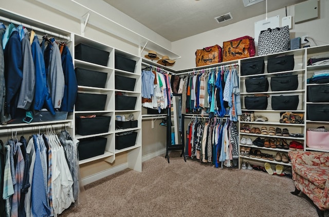 spacious closet with carpet floors