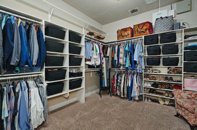 7610 Ramble Rdg, San Antonio, TX 78266 - walk in closet with carpet floors