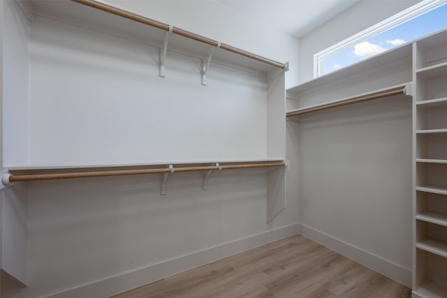 spacious closet featuring light wood-type flooring