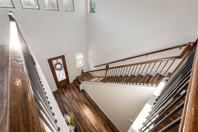 entryway with a towering ceiling and dark hardwood / wood-style flooring