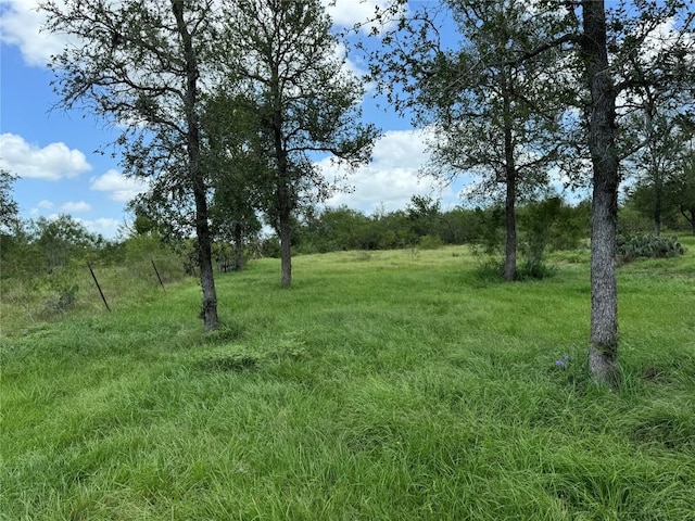 TBD Sneed Lane, Dale TX, 78616 land for sale