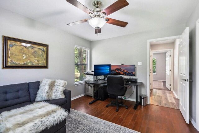 office space featuring dark hardwood / wood-style floors and ceiling fan