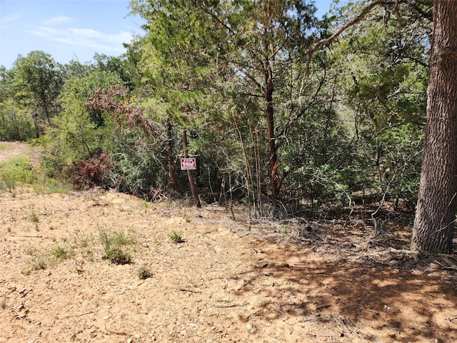 LOT310 Kalihi Ct, Bastrop TX, 78602 land for sale