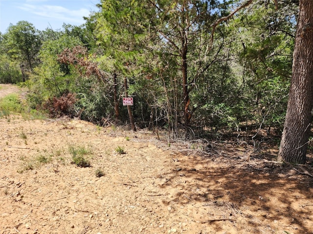 Listing photo 3 for LOT310 Kalihi Ct, Bastrop TX 78602