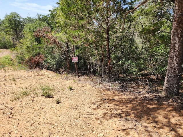 LOT310 Kalihi Ct, Bastrop, TX 78602 - photo 3