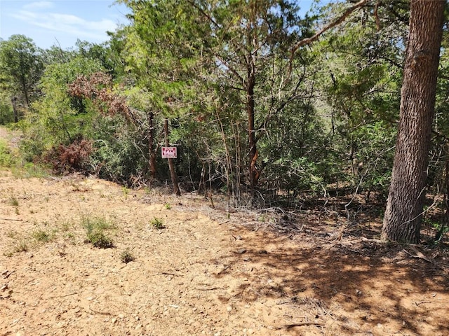LOT310 Kalihi Ct, Bastrop, TX 78602 - photo 4