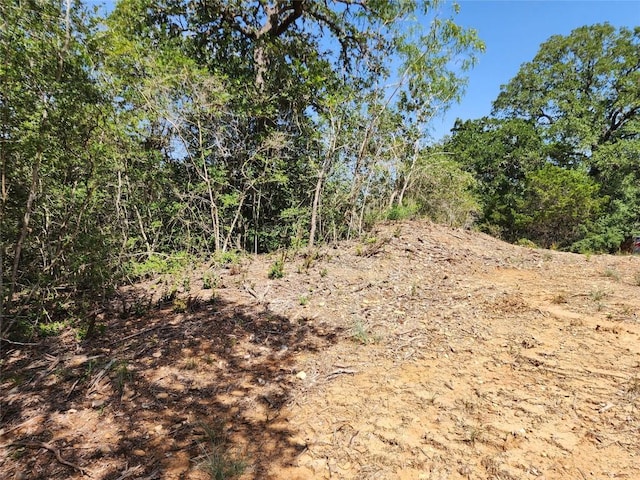 LOT310 Kalihi Ct, Bastrop, TX 78602 - photo 5
