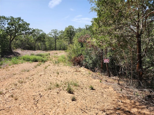 LOT310 Kalihi Ct, Bastrop, TX 78602 - photo 6