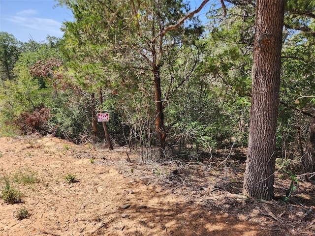 LOT310 Kalihi Ct, Bastrop, TX 78602 - photo 7