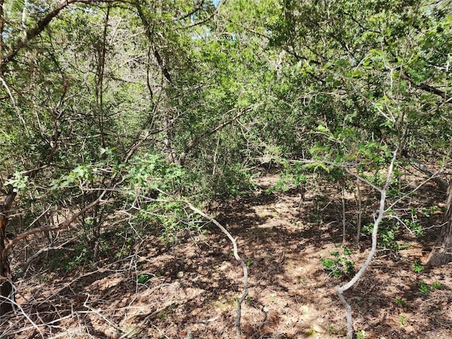 LOT310 Kalihi Ct, Bastrop, TX 78602 - photo 8