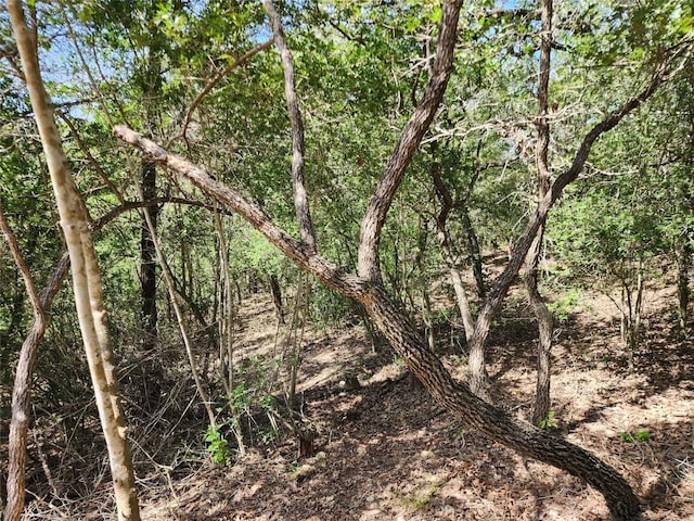 LOT310 Kalihi Ct, Bastrop, TX 78602 - photo 9