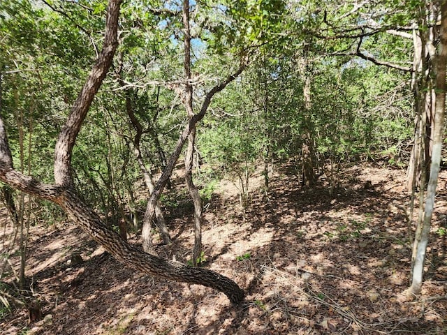 LOT310 Kalihi Ct, Bastrop, TX 78602 - photo 10