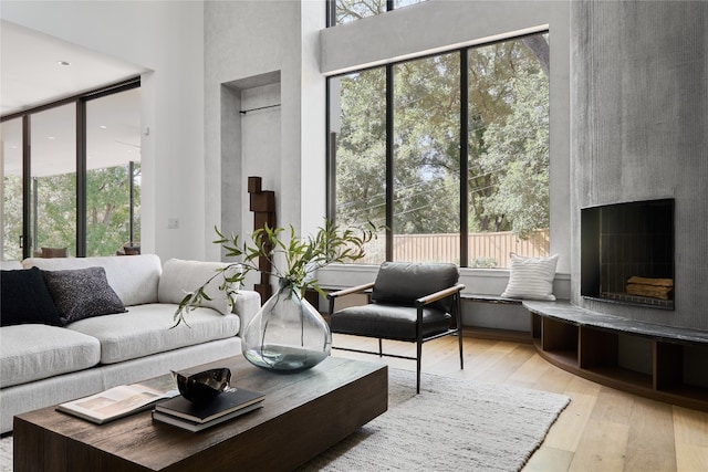 living room with a fireplace, a high ceiling, and light hardwood / wood-style flooring