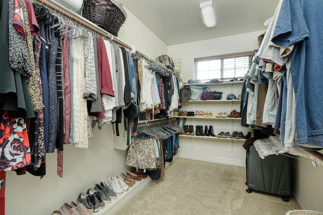 spacious closet with light carpet