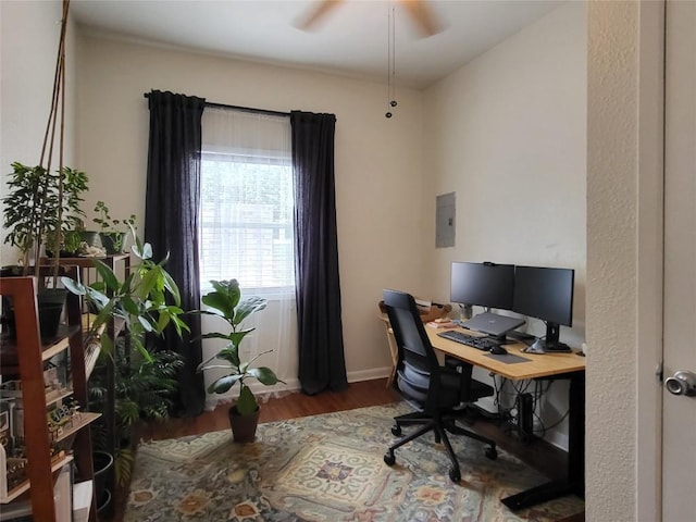 office space featuring a ceiling fan, baseboards, and wood finished floors