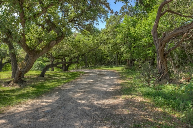 Listing photo 3 for 0 Ervendberg Ave, New Braunfels TX 78130