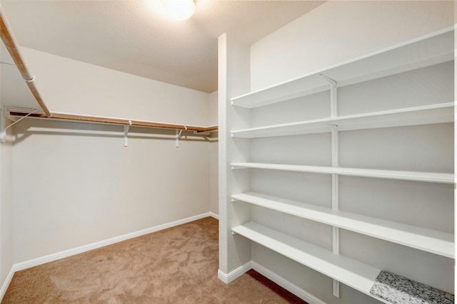 walk in closet featuring light colored carpet