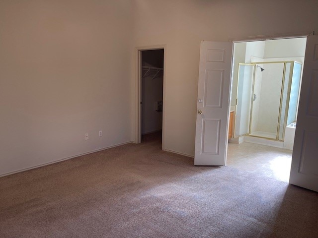 unfurnished bedroom featuring a closet, light carpet, and a spacious closet