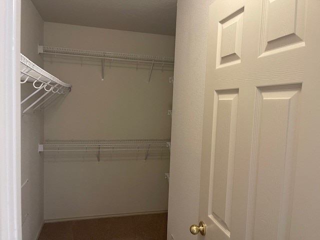 spacious closet with carpet