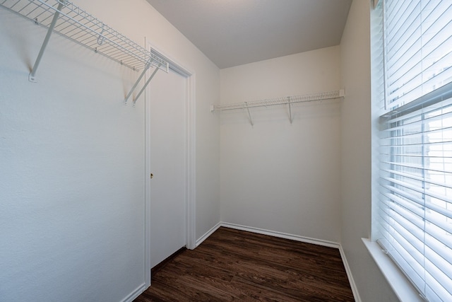 walk in closet featuring dark hardwood / wood-style floors