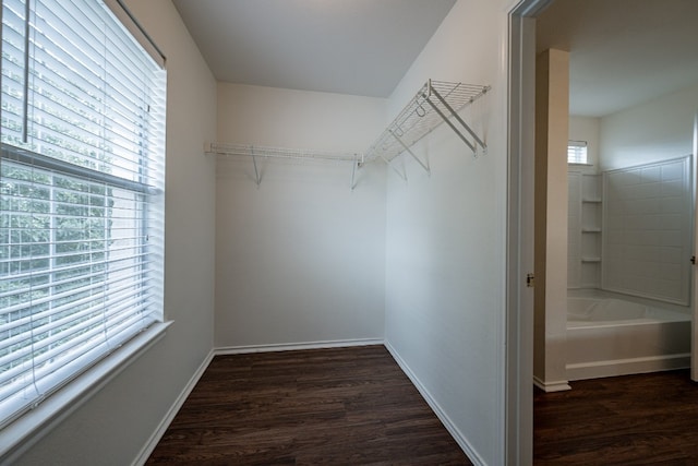 walk in closet with dark hardwood / wood-style floors