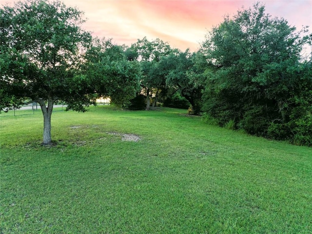 view of yard at dusk