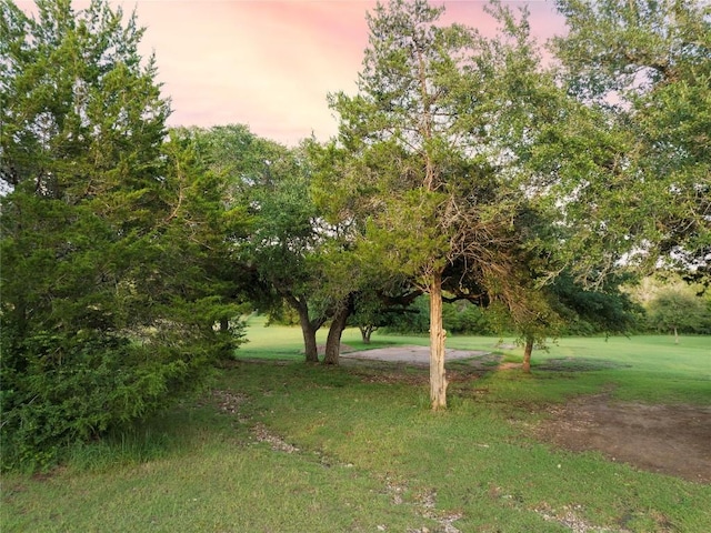 view of yard at dusk