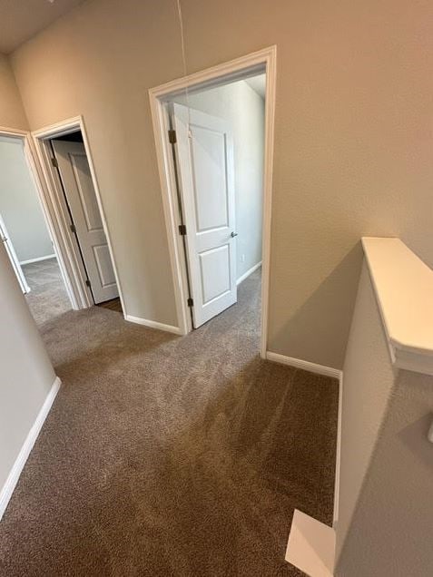 hallway featuring carpet floors