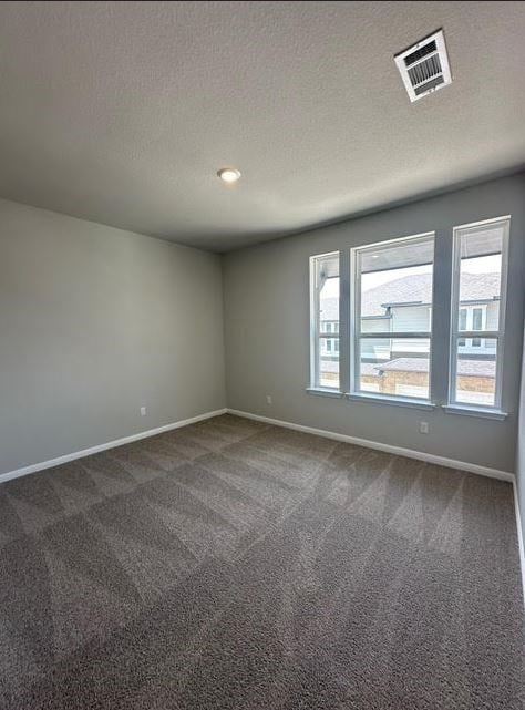 empty room featuring a textured ceiling and carpet flooring