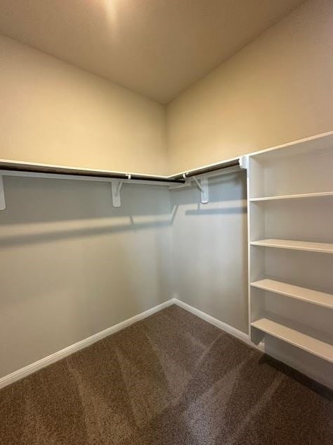 walk in closet featuring carpet