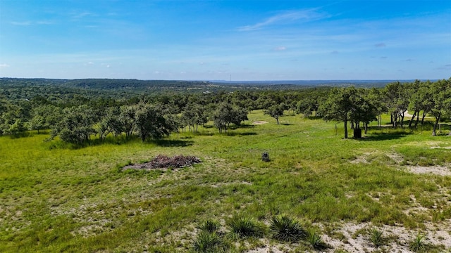 1215 Montell Rd, Wimberley, TX 78676 - photo 5
