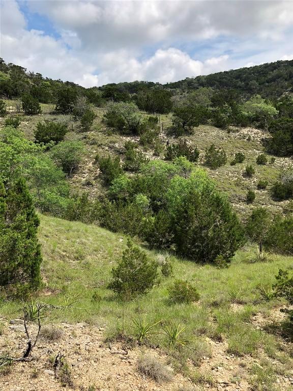1215 Montell Rd, Wimberley, TX 78676 - photo 38