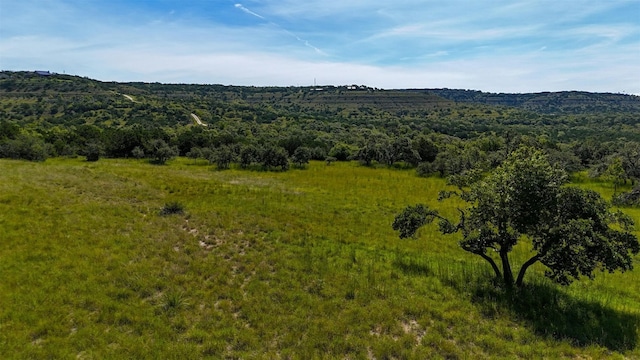 1215 Montell Rd, Wimberley, TX 78676 - photo 6
