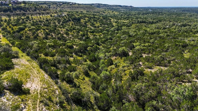 1215 Montell Rd, Wimberley, TX 78676 - photo 9