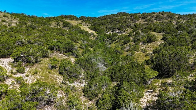 1215 Montell Rd, Wimberley, TX 78676 - photo 10